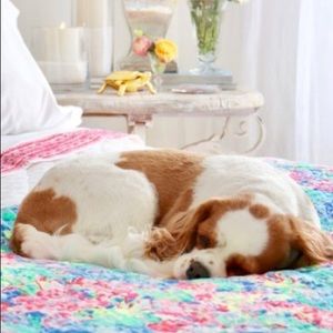 Meet your Posher, Liz